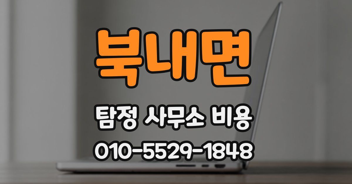 북내면 탐정 사무소 비용