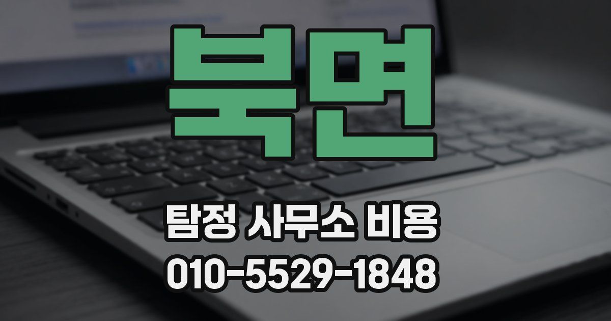 북면 탐정 사무소 비용