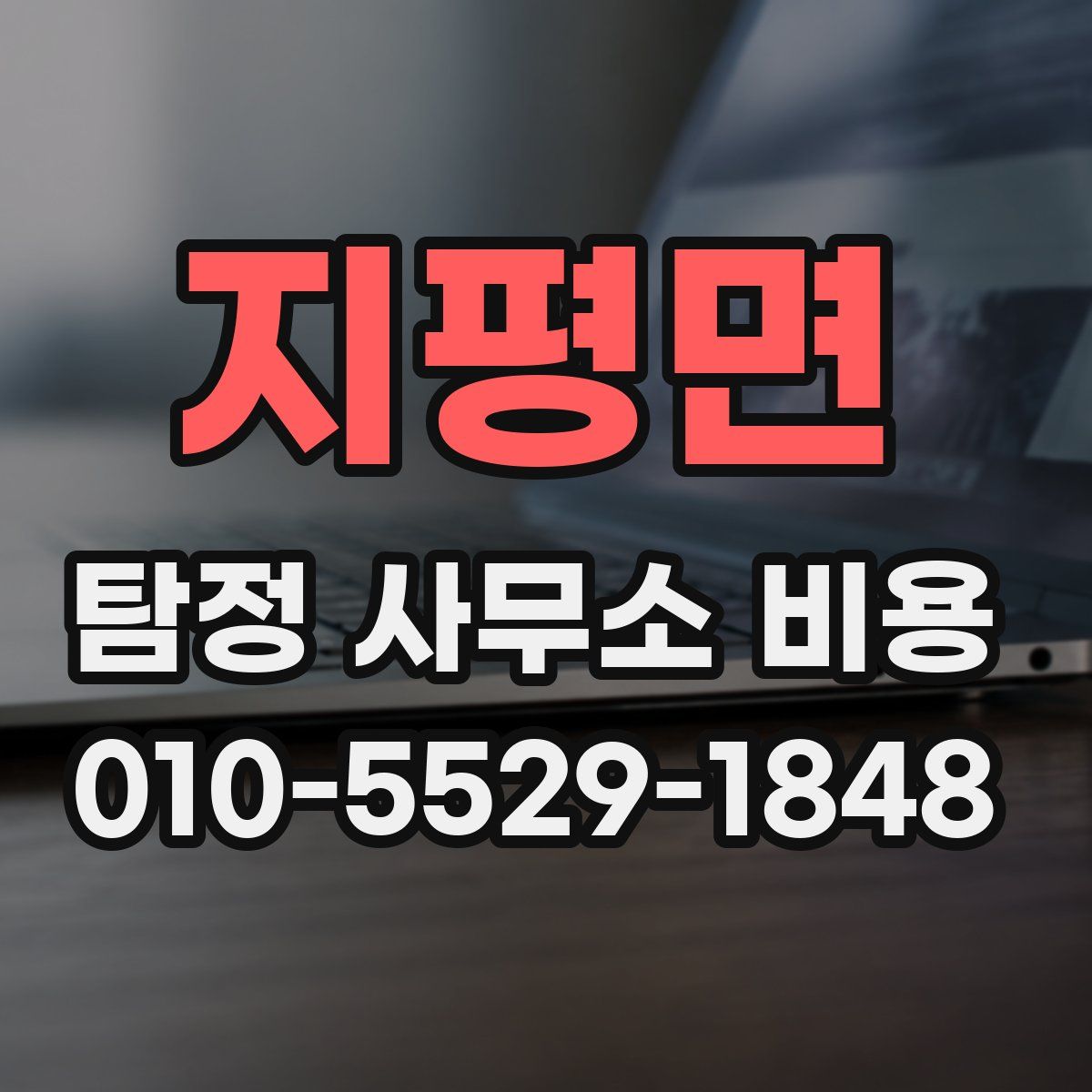 지평면 탐정 사무소 비용