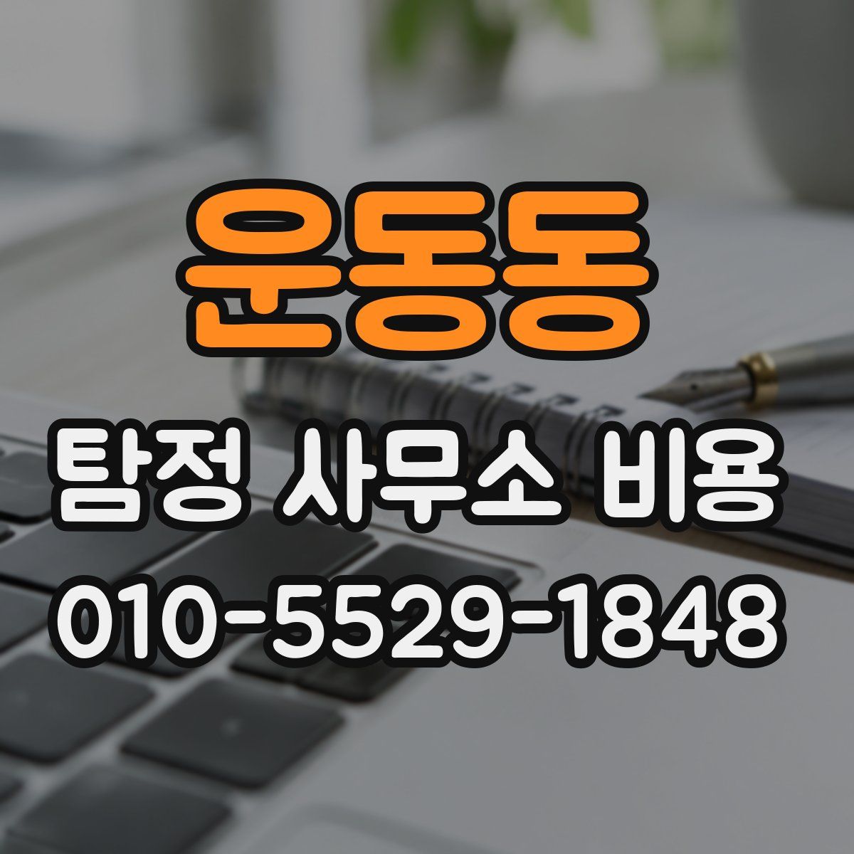 운동동 탐정 사무소 비용