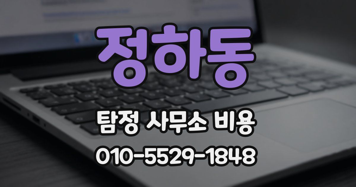 정하동 탐정 사무소 비용
