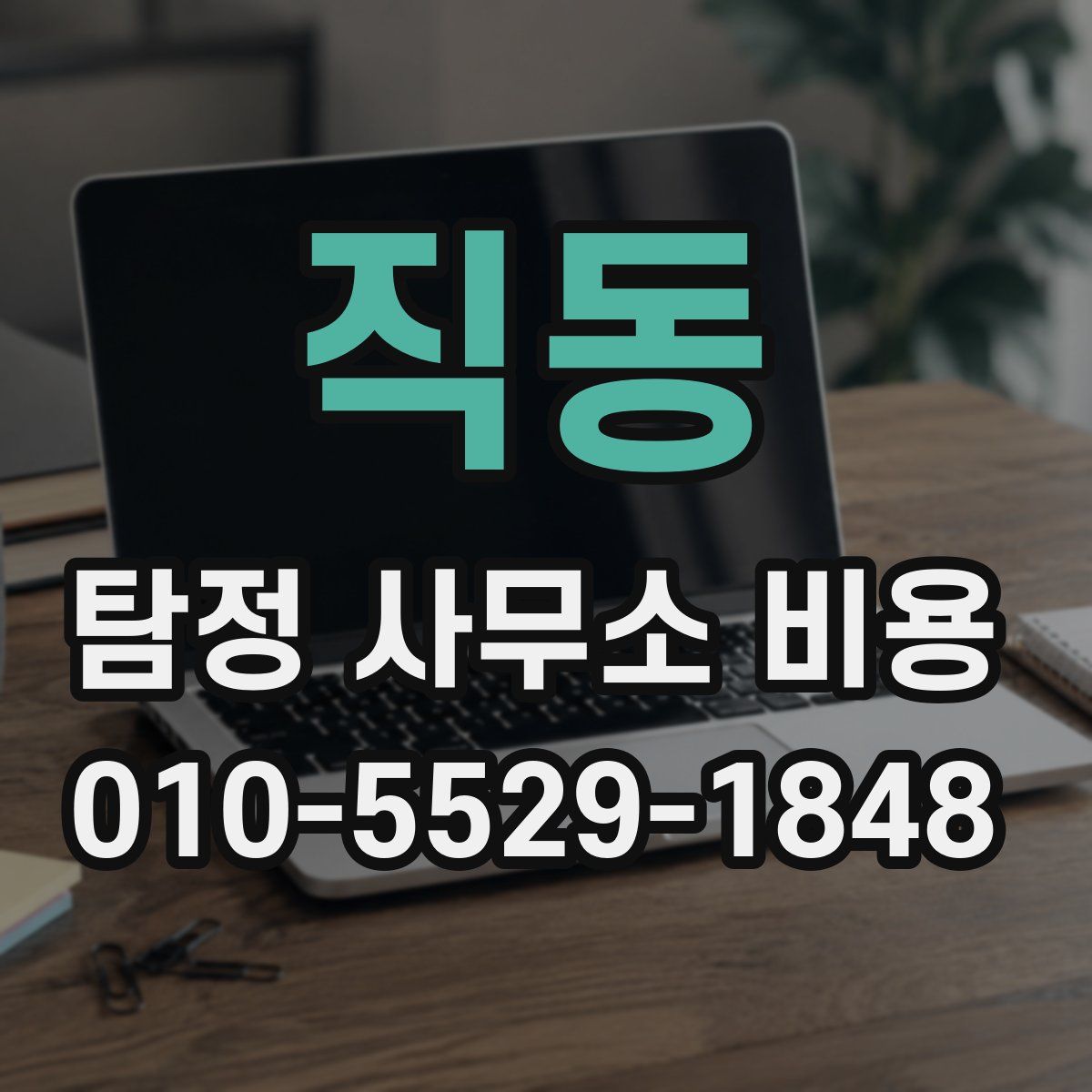 직동 탐정 사무소 비용