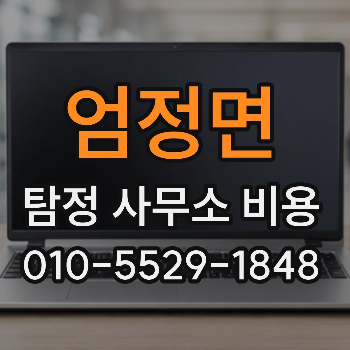 엄정면 탐정 사무소 비용