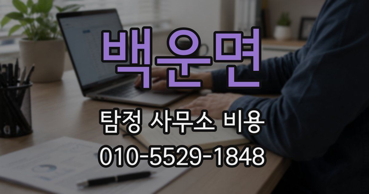 백운면 탐정 사무소 비용