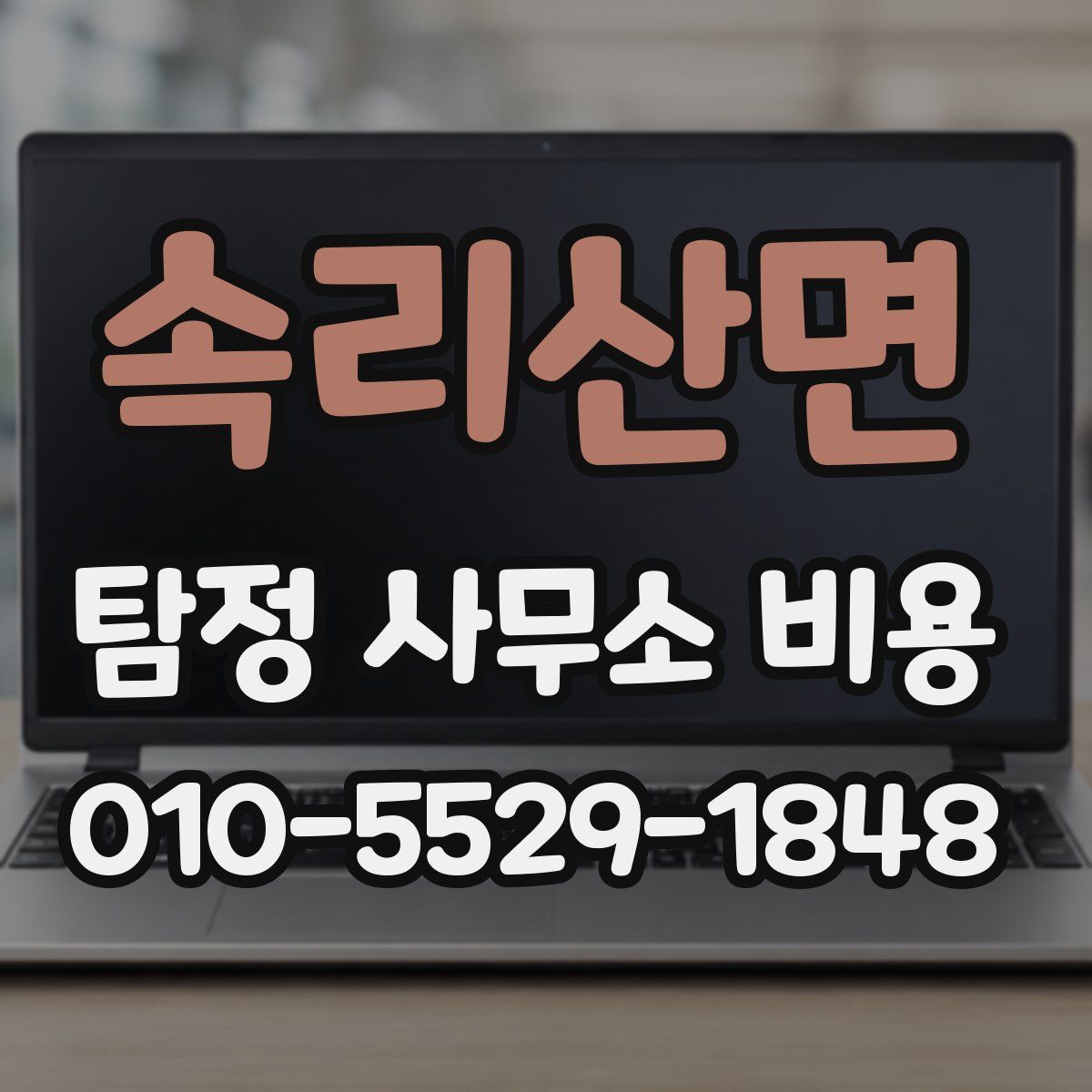 속리산면 탐정 사무소 비용