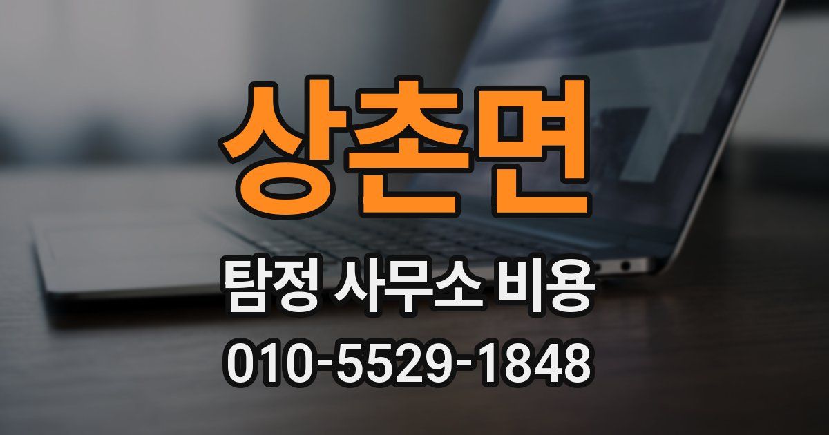 상촌면 탐정 사무소 비용