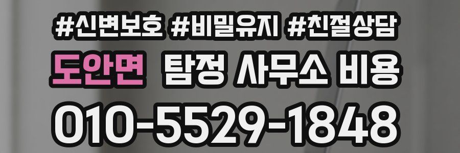 도안면 탐정 사무소 비용