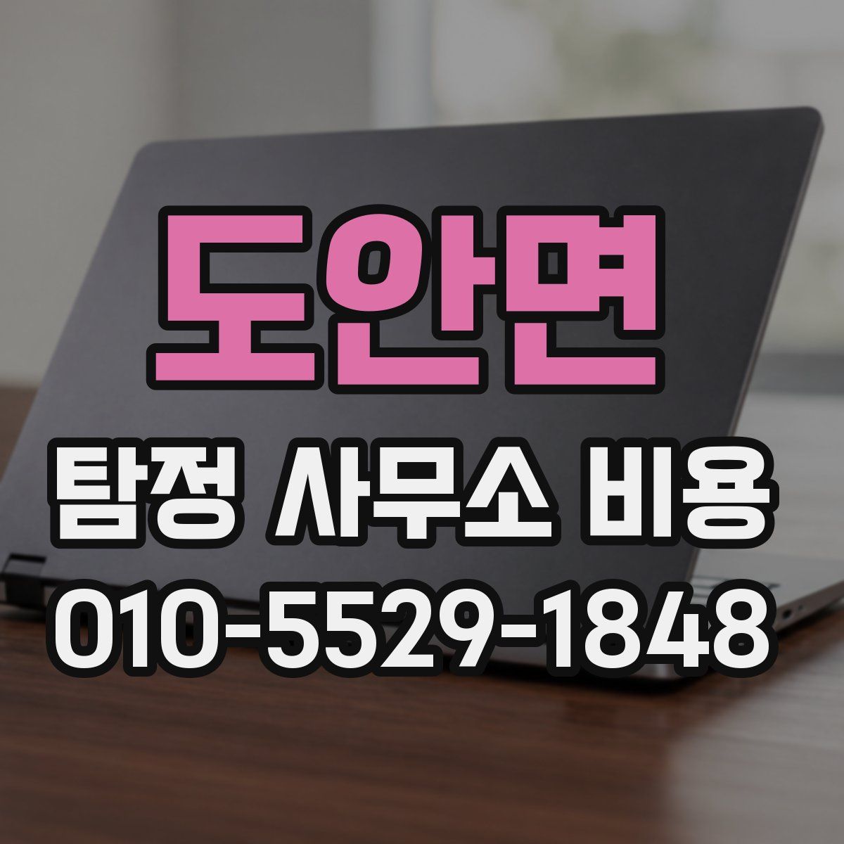도안면 탐정 사무소 비용
