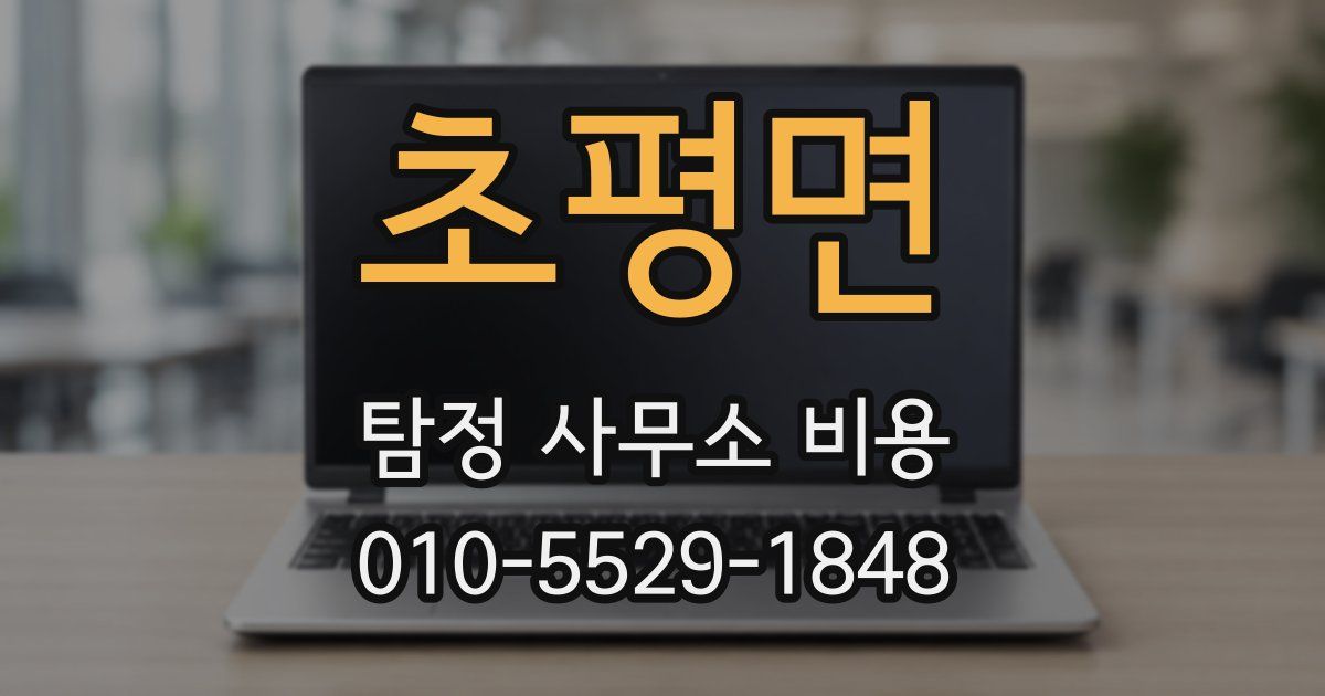 초평면 탐정 사무소 비용