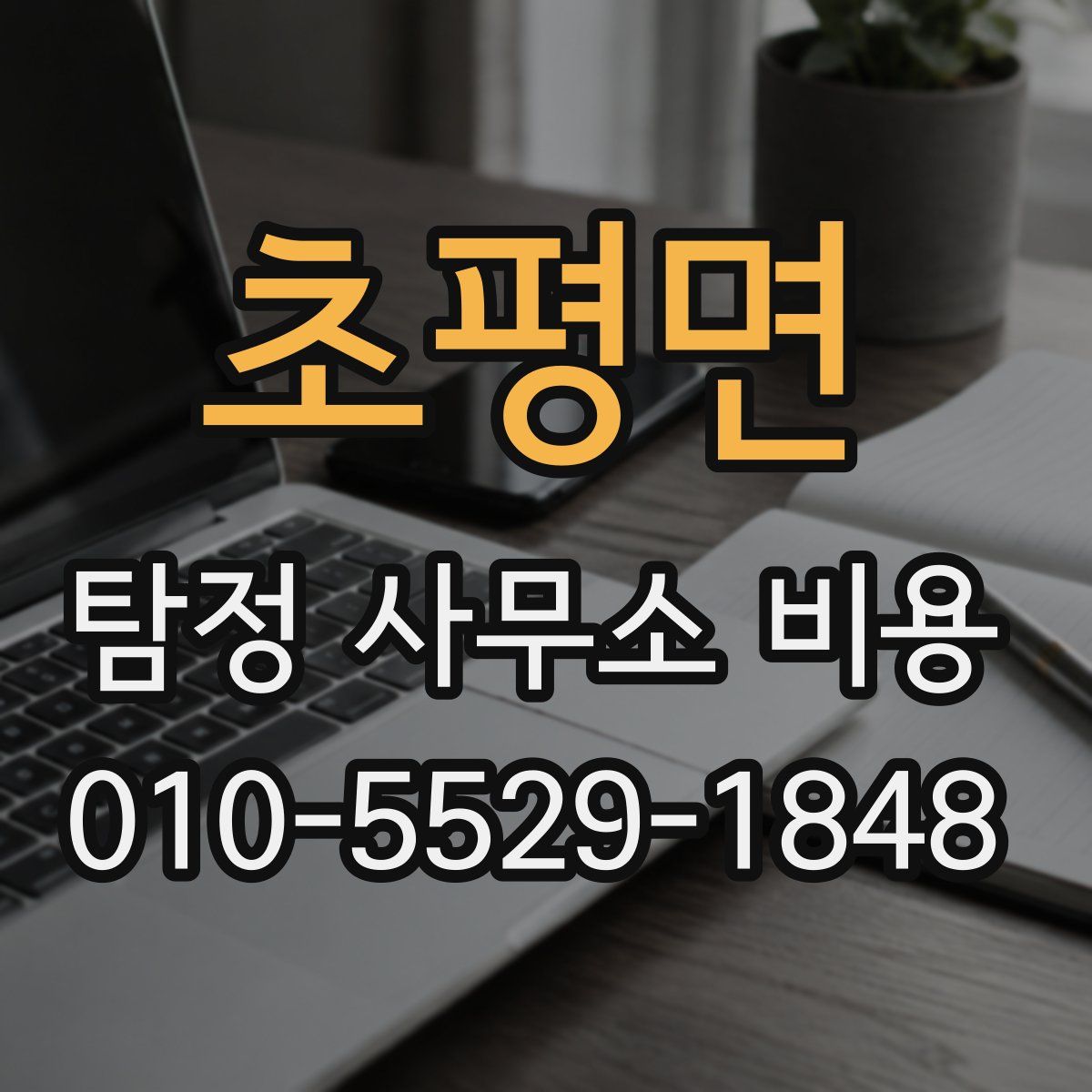 초평면 탐정 사무소 비용