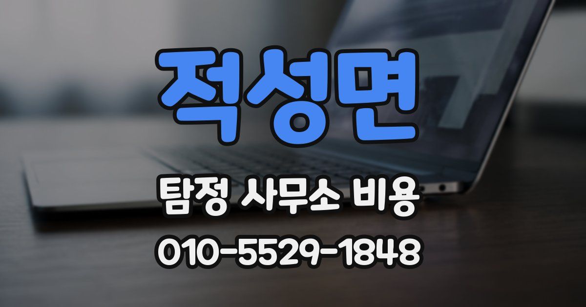 적성면 탐정 사무소 비용