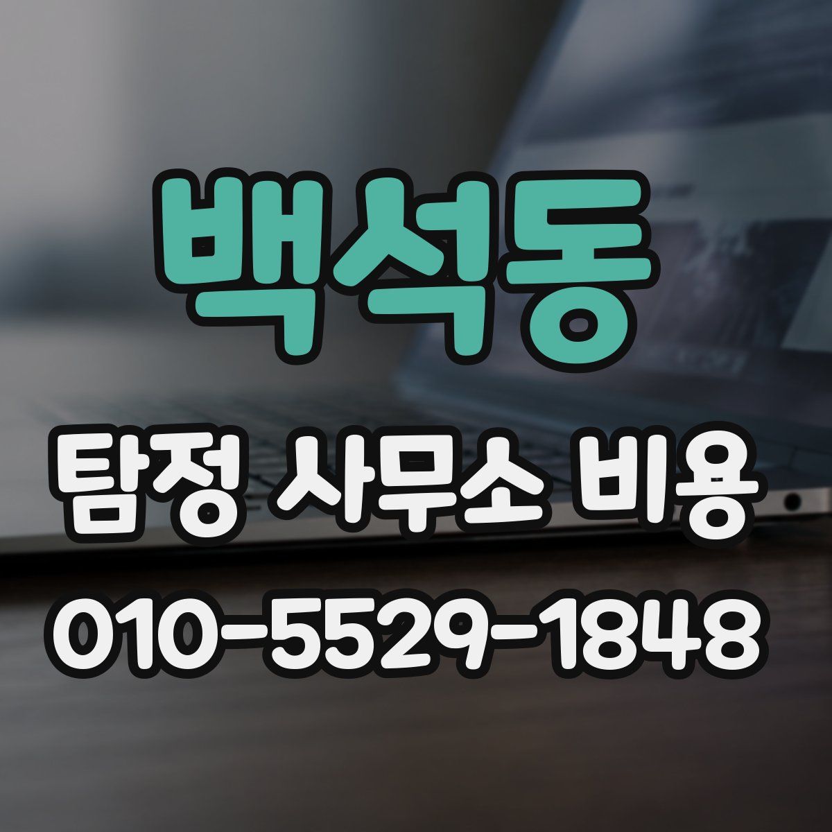 백석동 탐정 사무소 비용