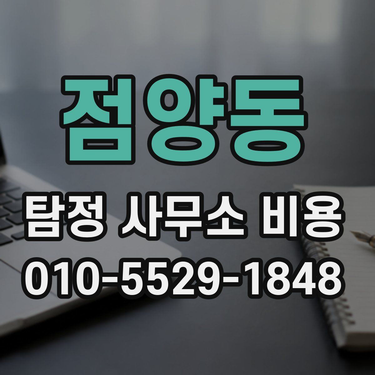 점양동 탐정 사무소 비용