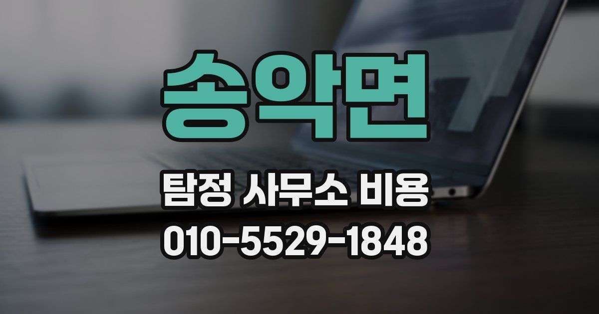 송악면 탐정 사무소 비용