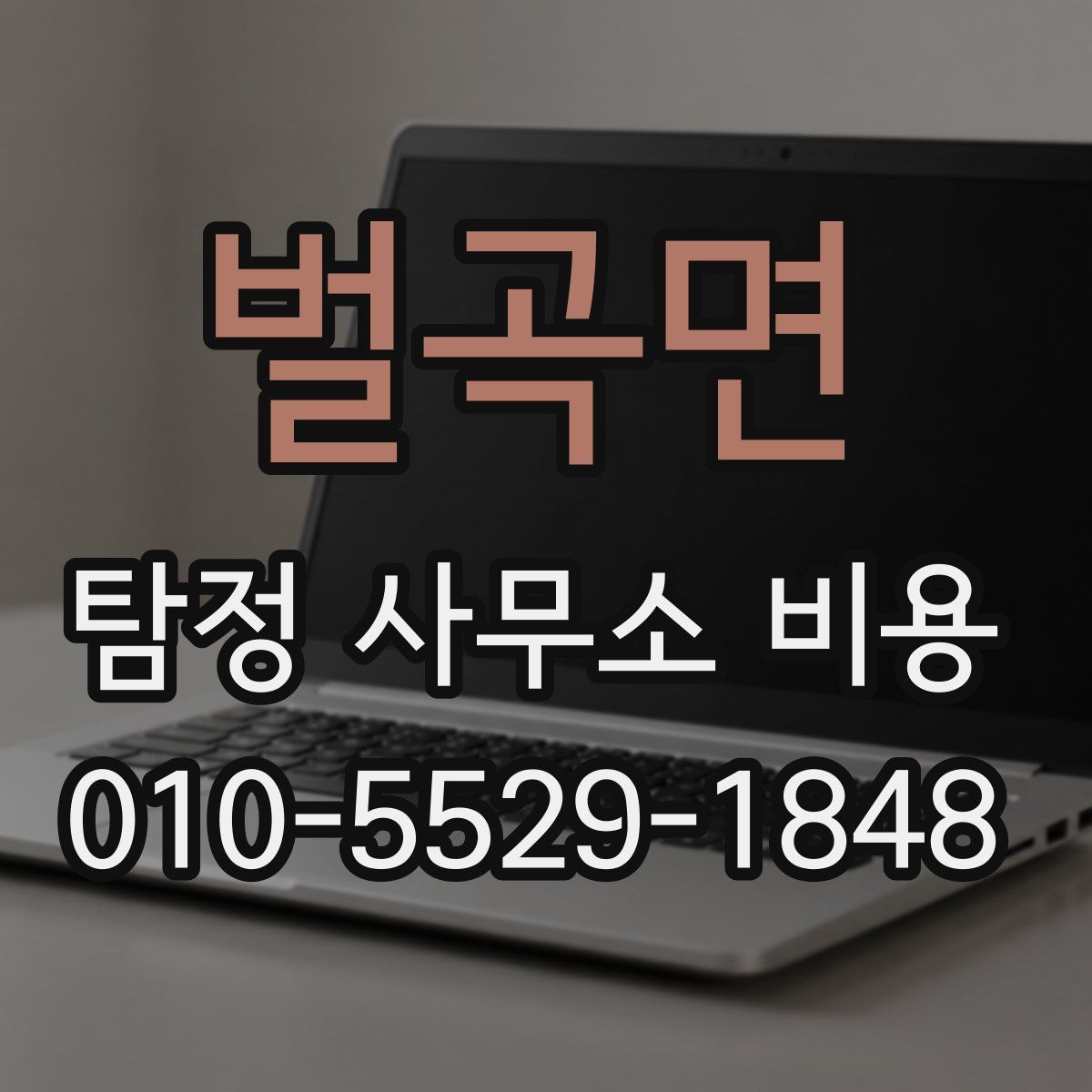 벌곡면 탐정 사무소 비용