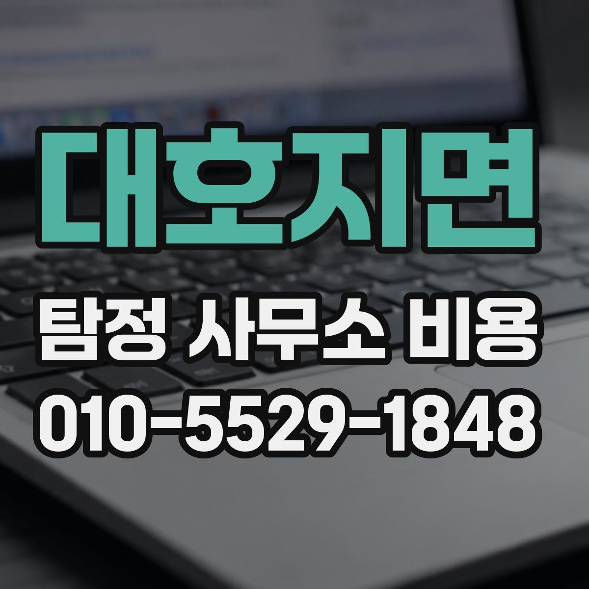 대호지면 탐정 사무소 비용