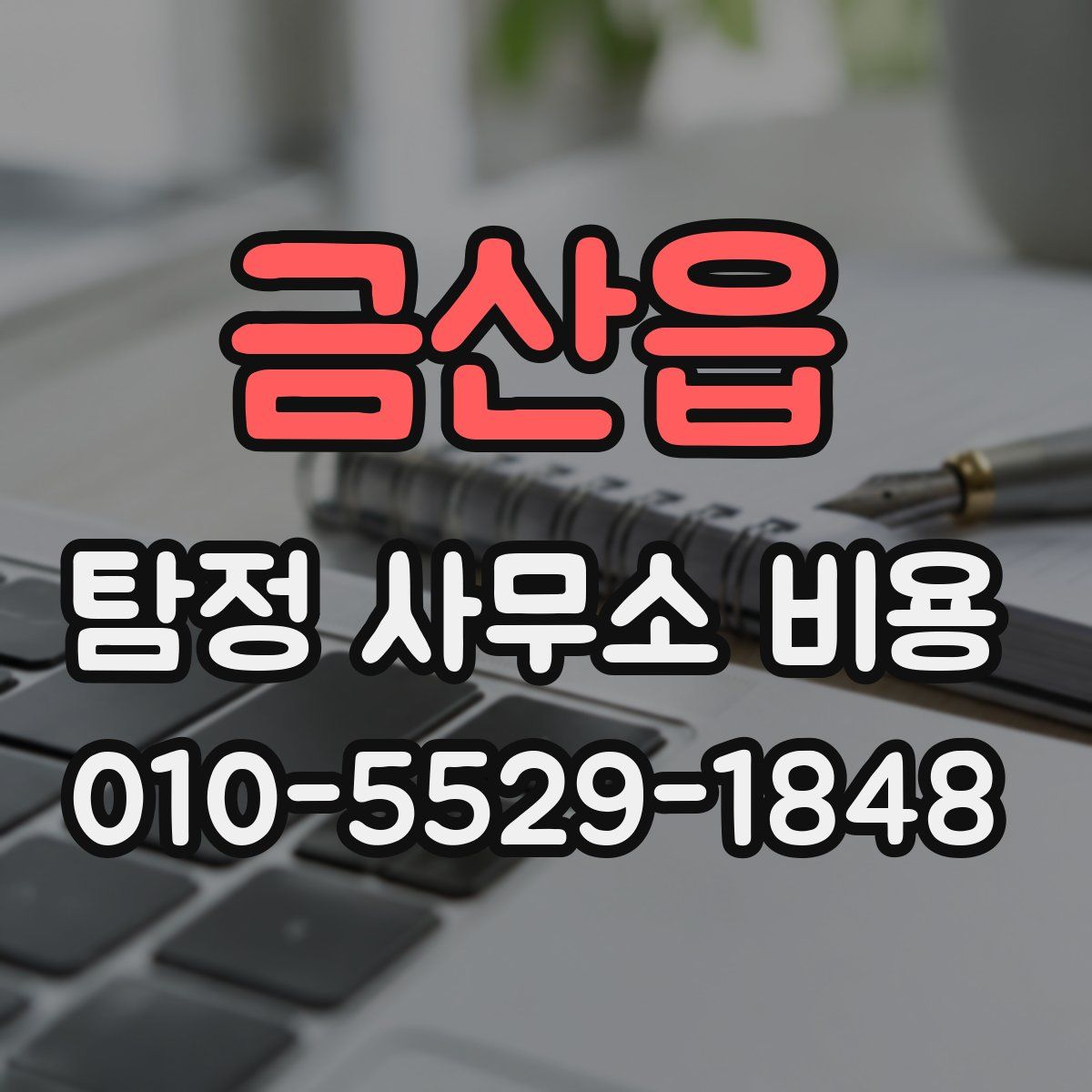 금산읍 탐정 사무소 비용