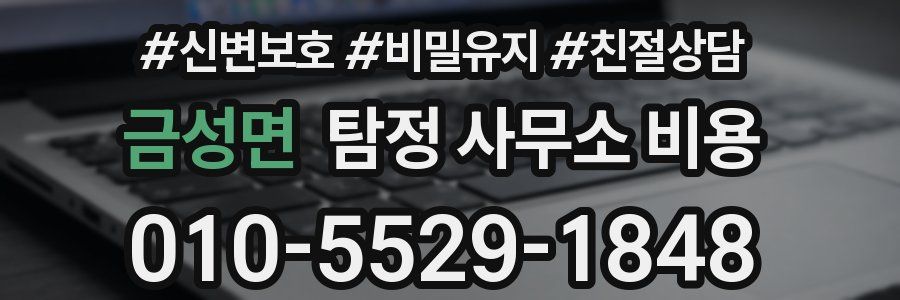 금성면 탐정 사무소 비용