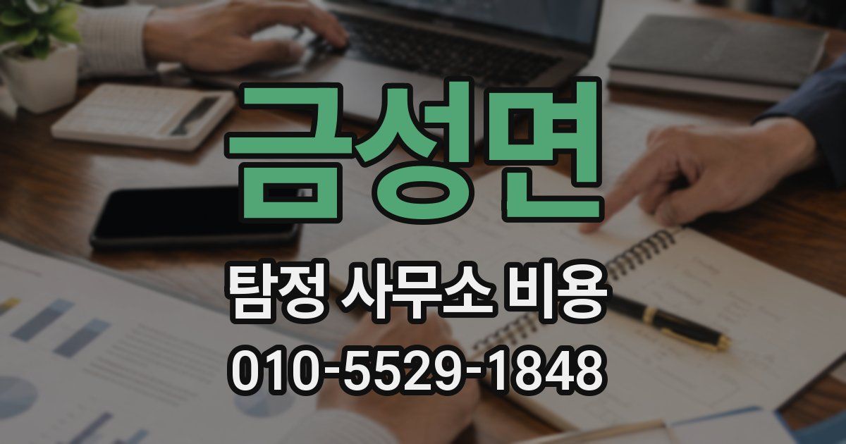 금성면 탐정 사무소 비용