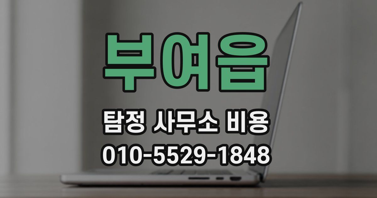 부여읍 탐정 사무소 비용