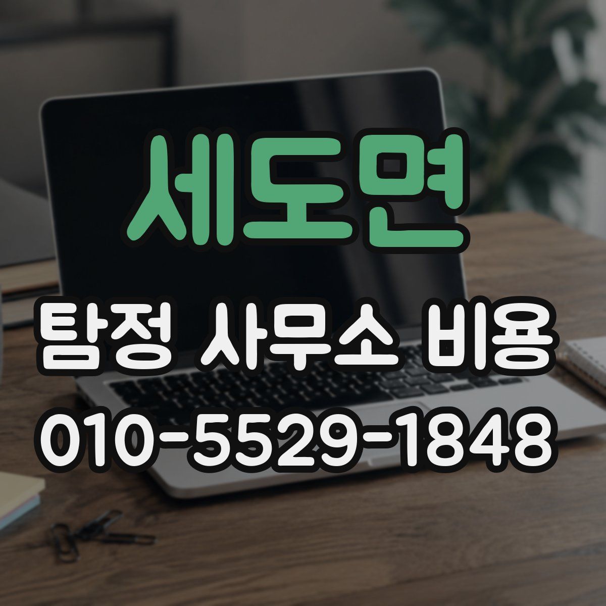 세도면 탐정 사무소 비용