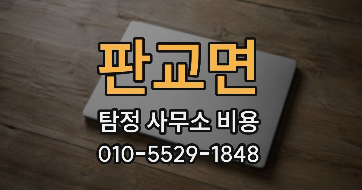 판교면 탐정 사무소 비용
