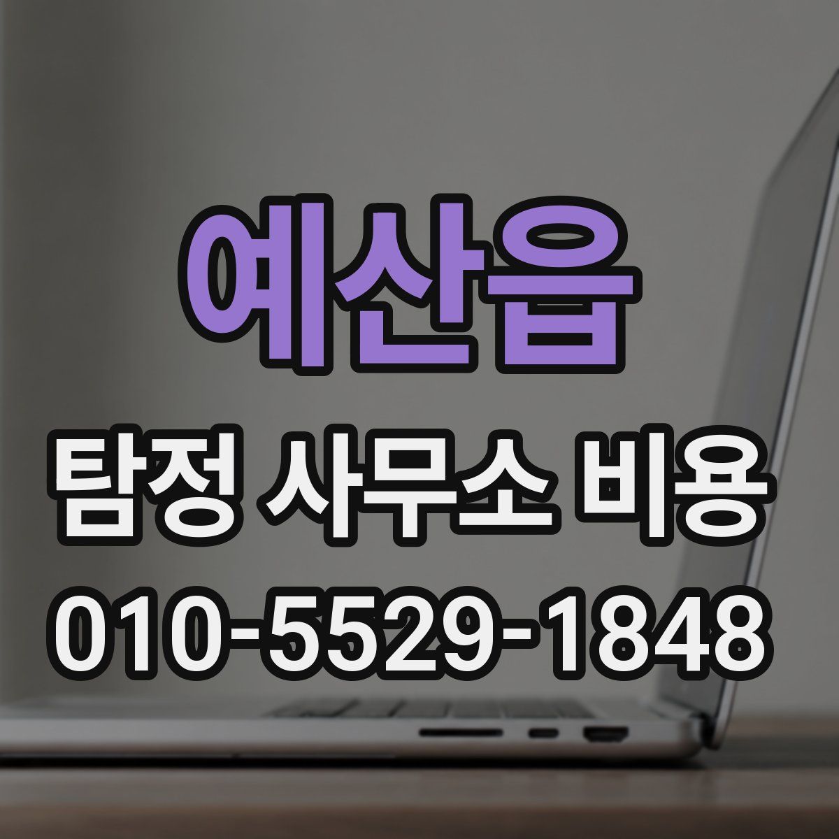 예산읍 탐정 사무소 비용