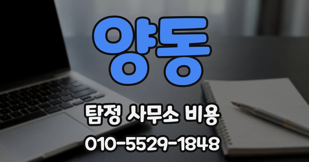 양동 탐정 사무소 비용