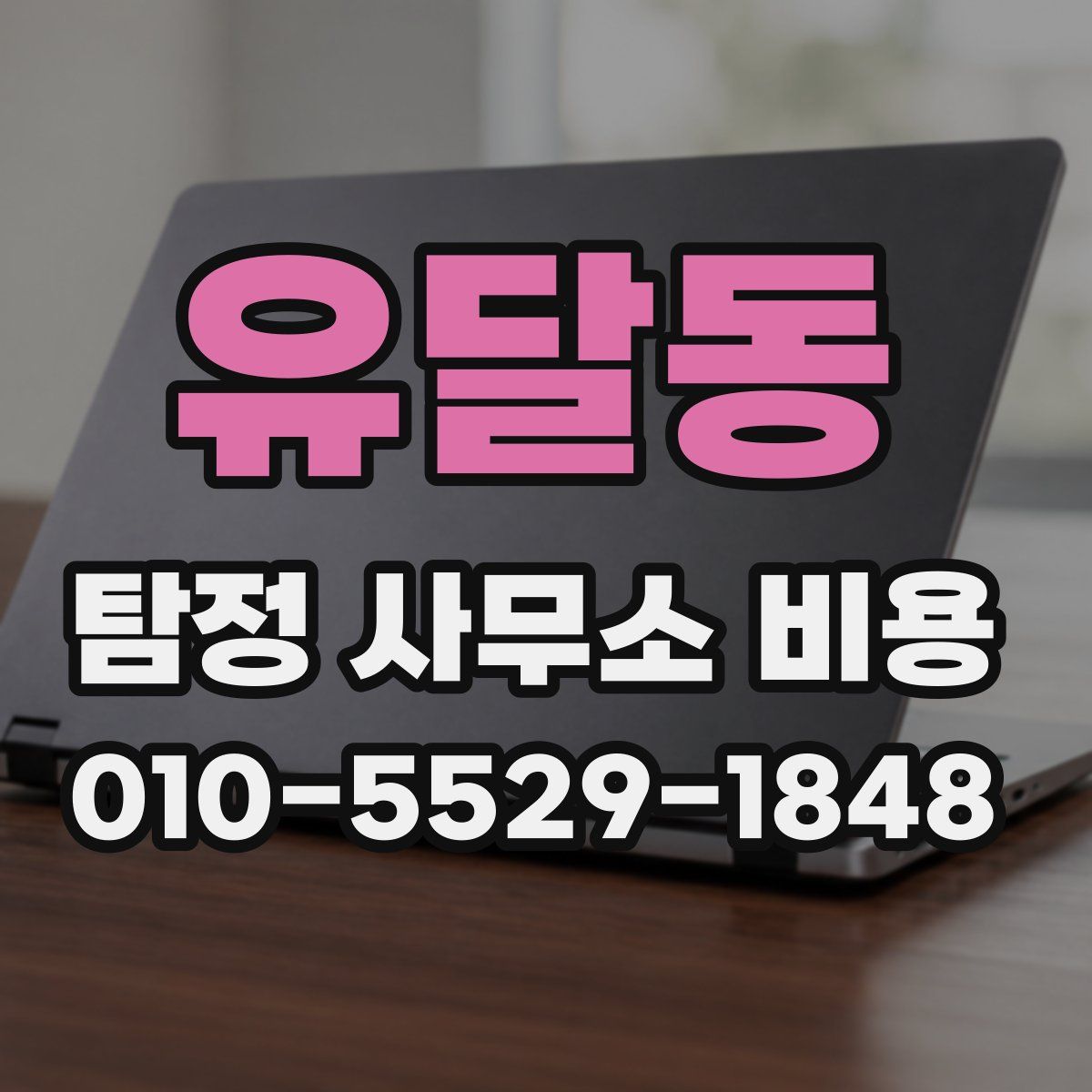 유달동 탐정 사무소 비용
