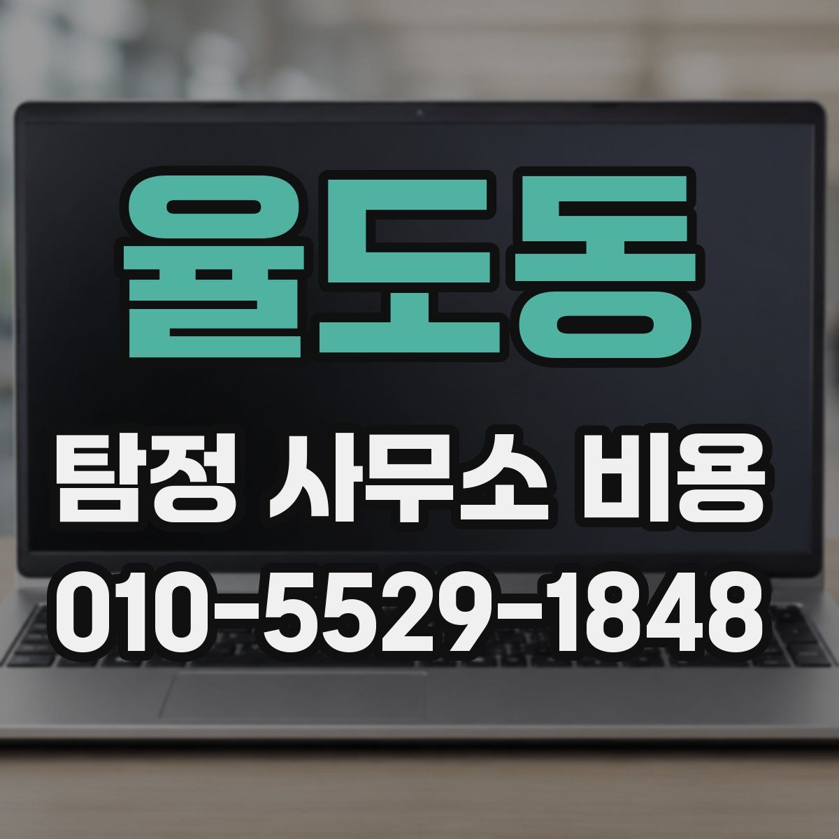 율도동 탐정 사무소 비용