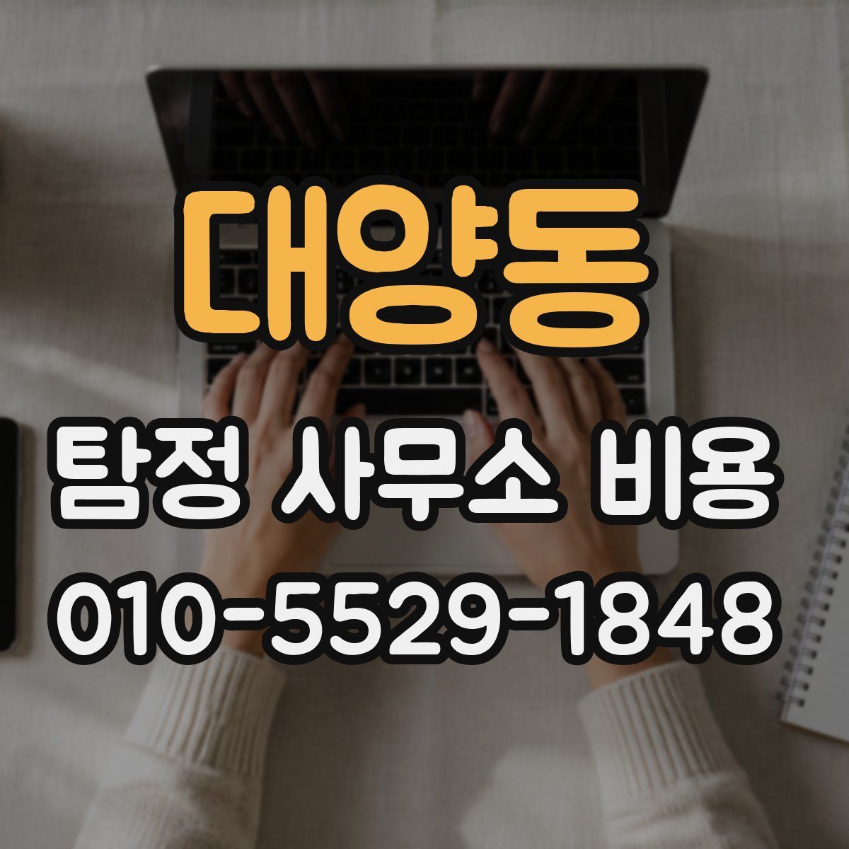 대양동 탐정 사무소 비용