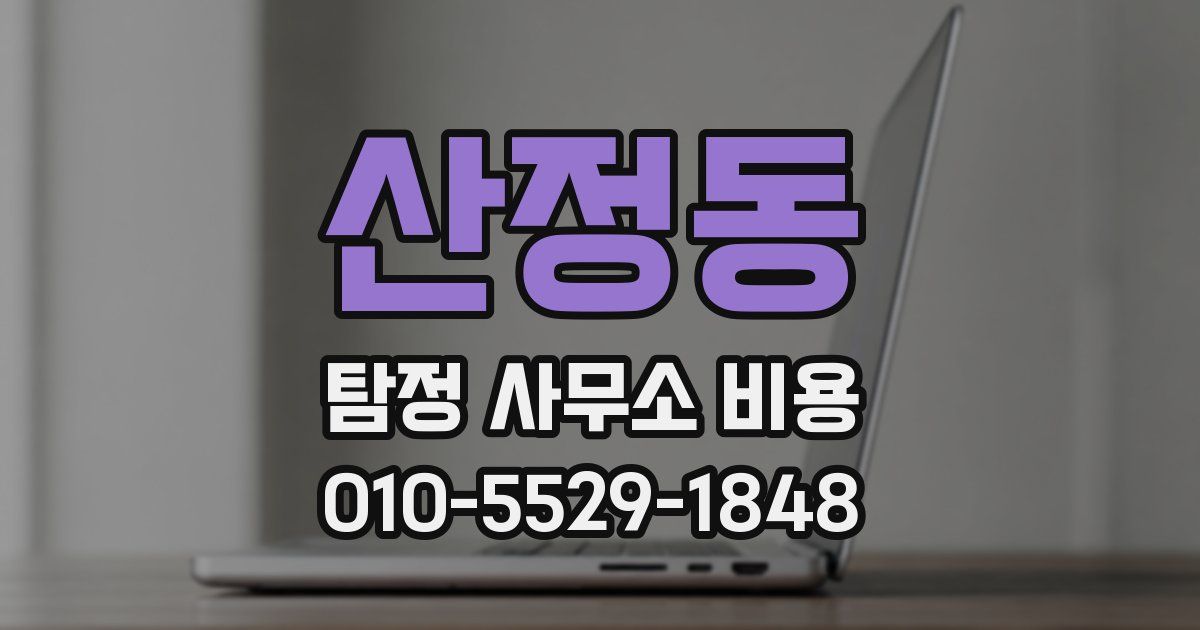 산정동 탐정 사무소 비용
