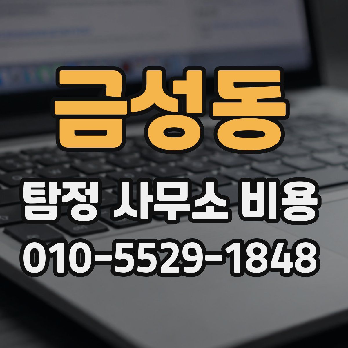 금성동 탐정 사무소 비용
