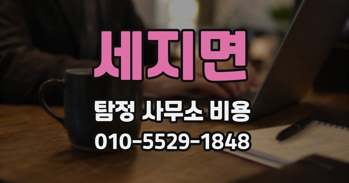 세지면 탐정 사무소 비용