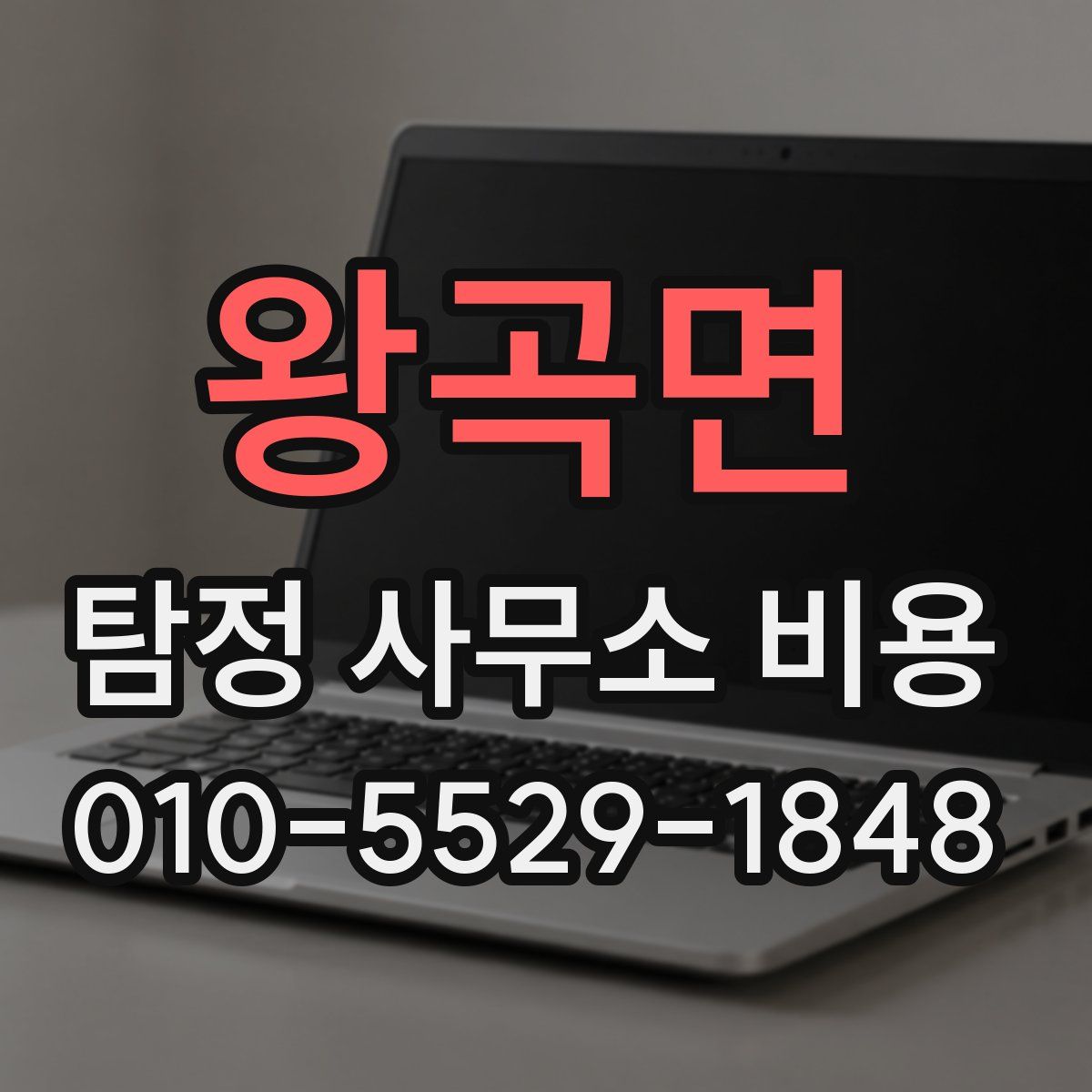 왕곡면 탐정 사무소 비용