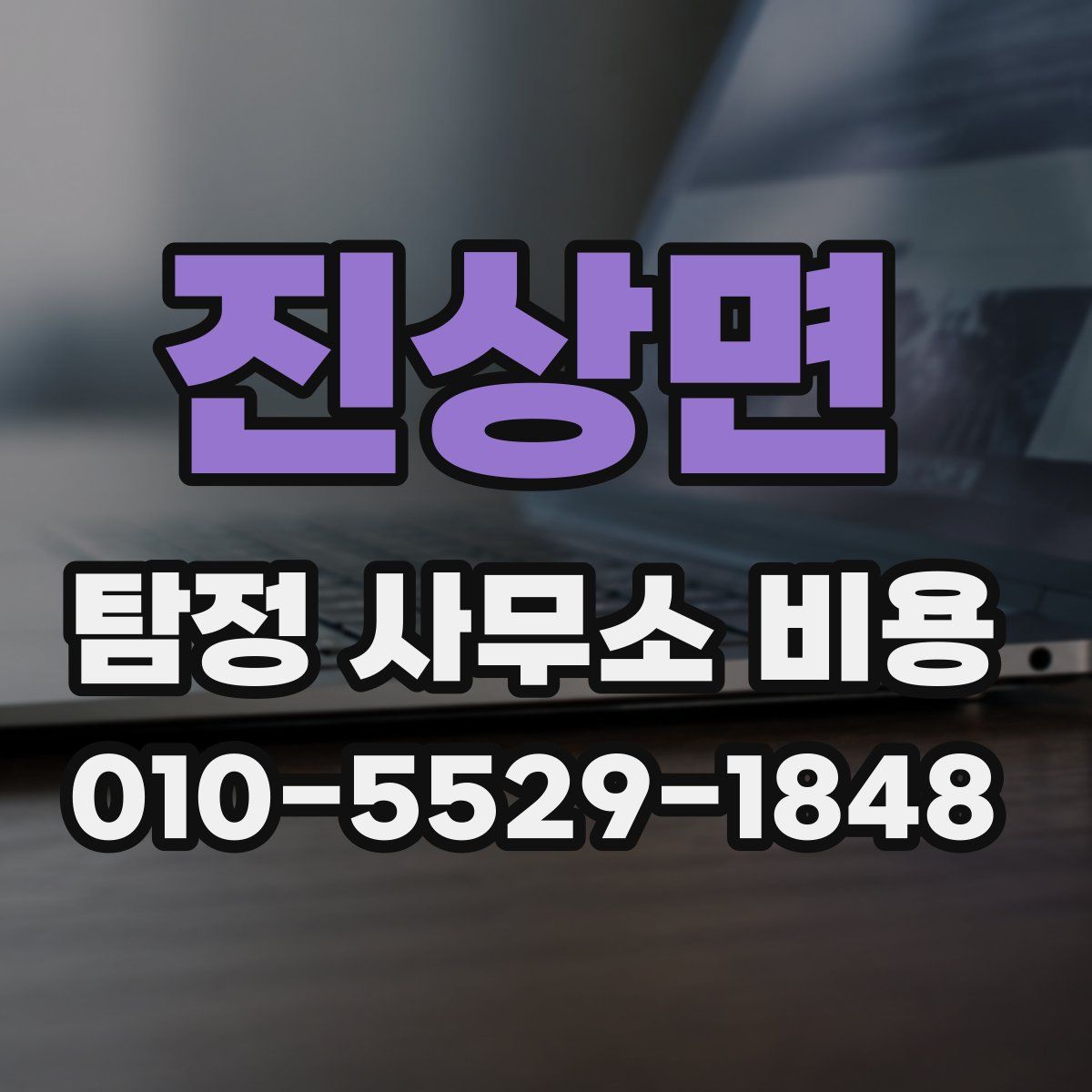 진상면 탐정 사무소 비용