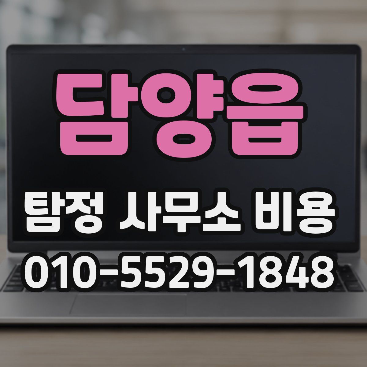 담양읍 탐정 사무소 비용