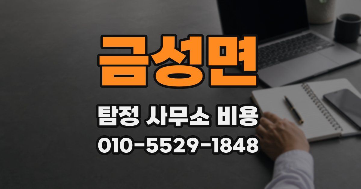금성면 탐정 사무소 비용