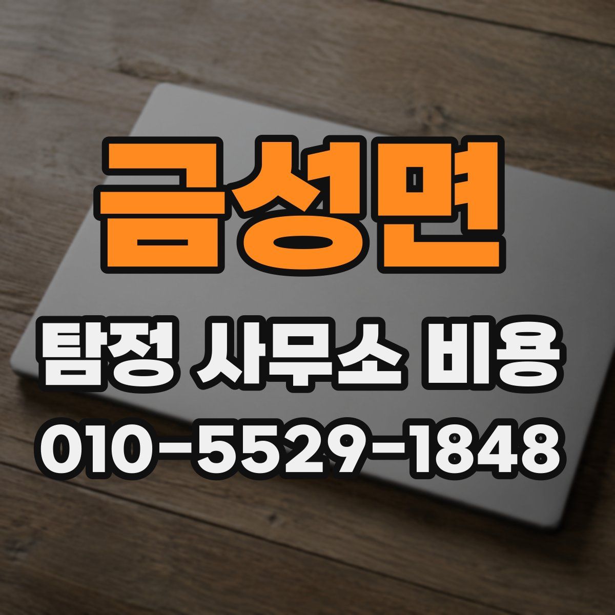 금성면 탐정 사무소 비용