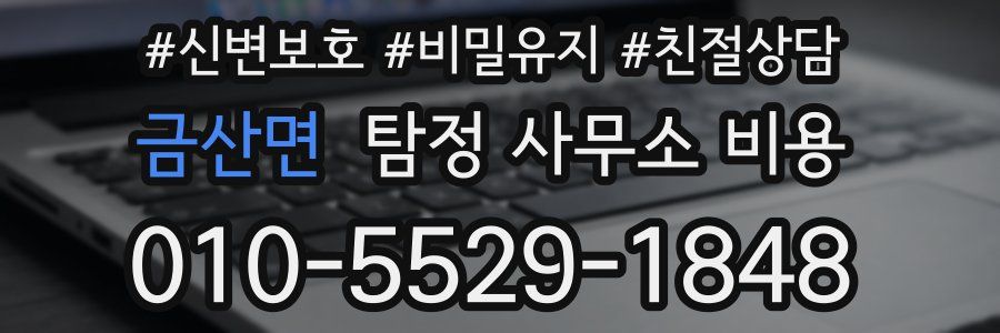 금산면 탐정 사무소 비용