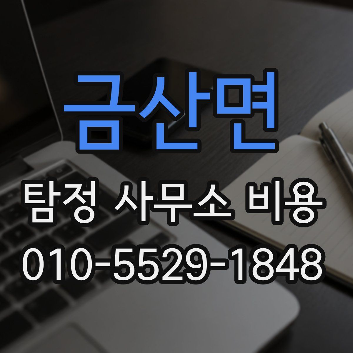 금산면 탐정 사무소 비용