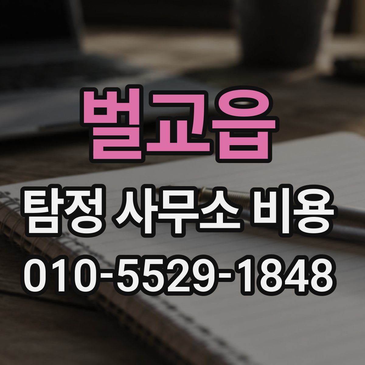 벌교읍 탐정 사무소 비용