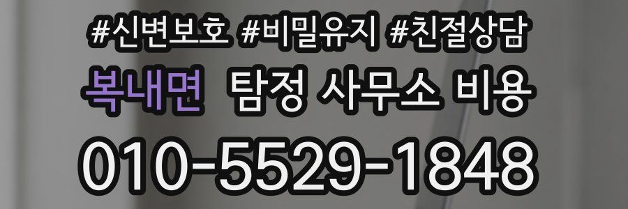 복내면 탐정 사무소 비용
