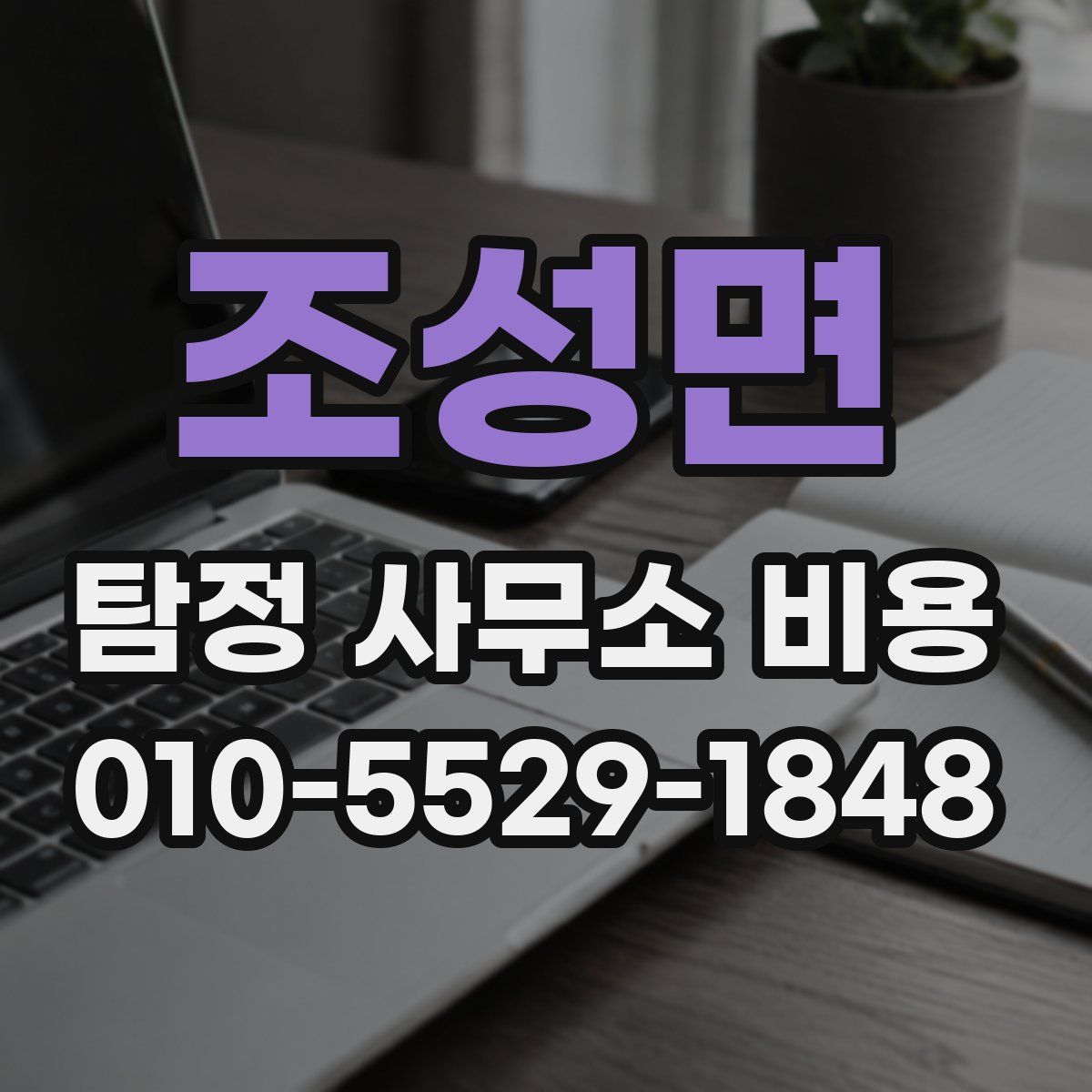 조성면 탐정 사무소 비용
