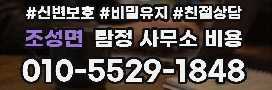 조성면 탐정 사무소 비용