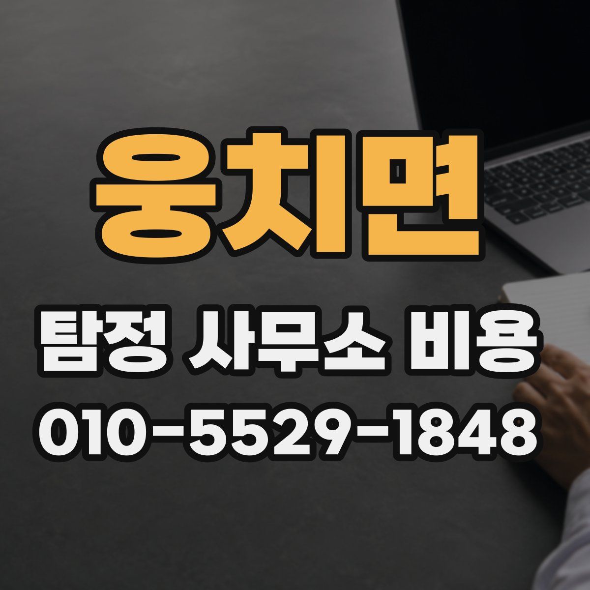 웅치면 탐정 사무소 비용