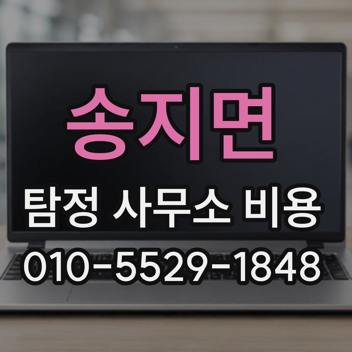 송지면 탐정 사무소 비용