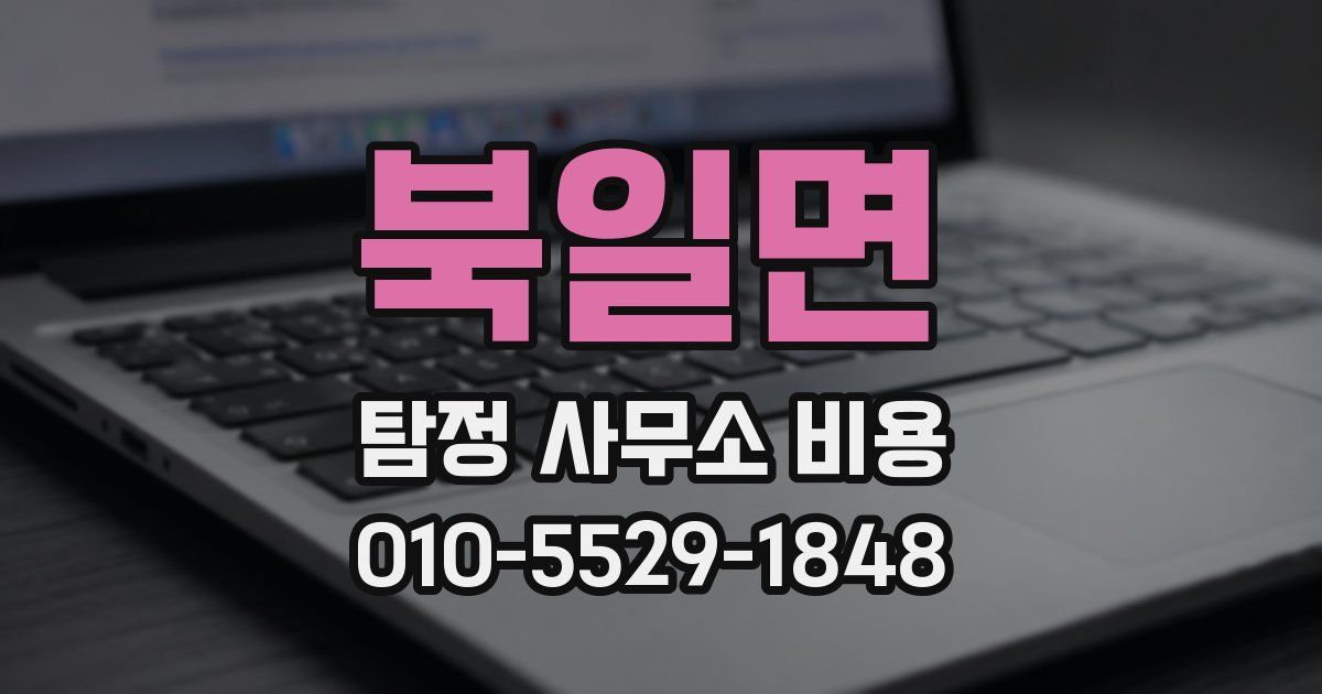 북일면 탐정 사무소 비용