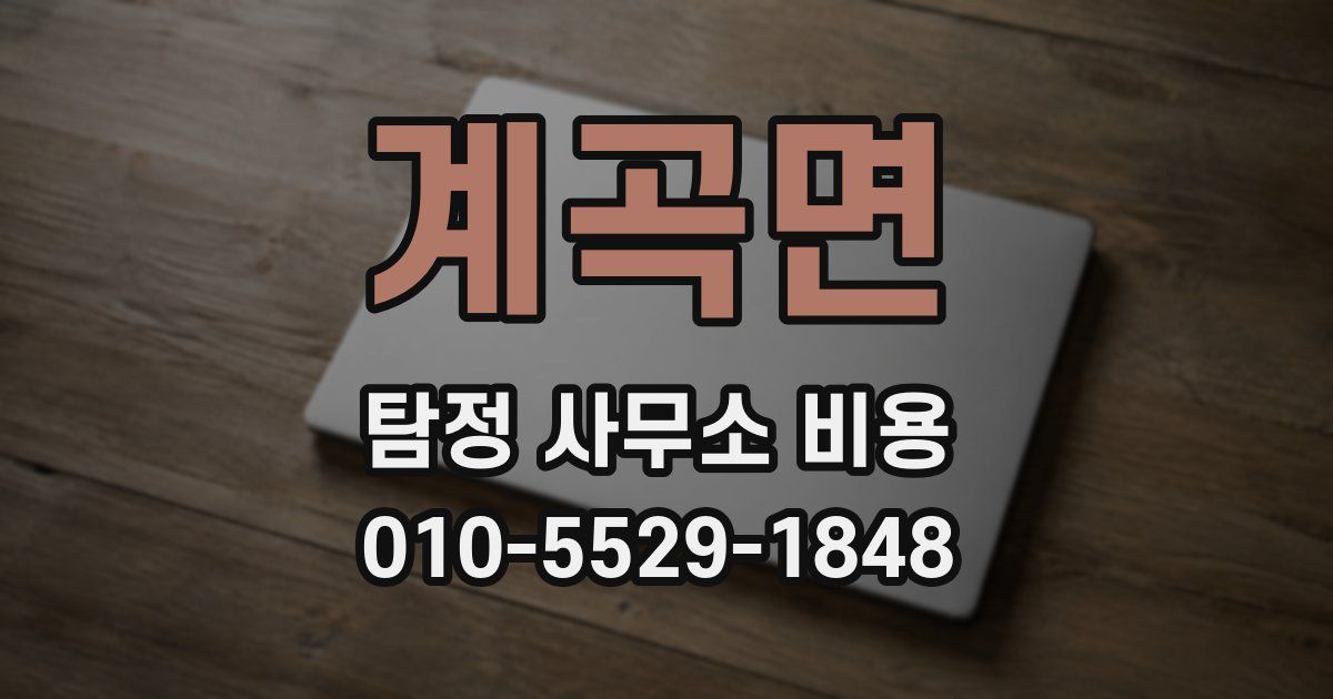계곡면 탐정 사무소 비용