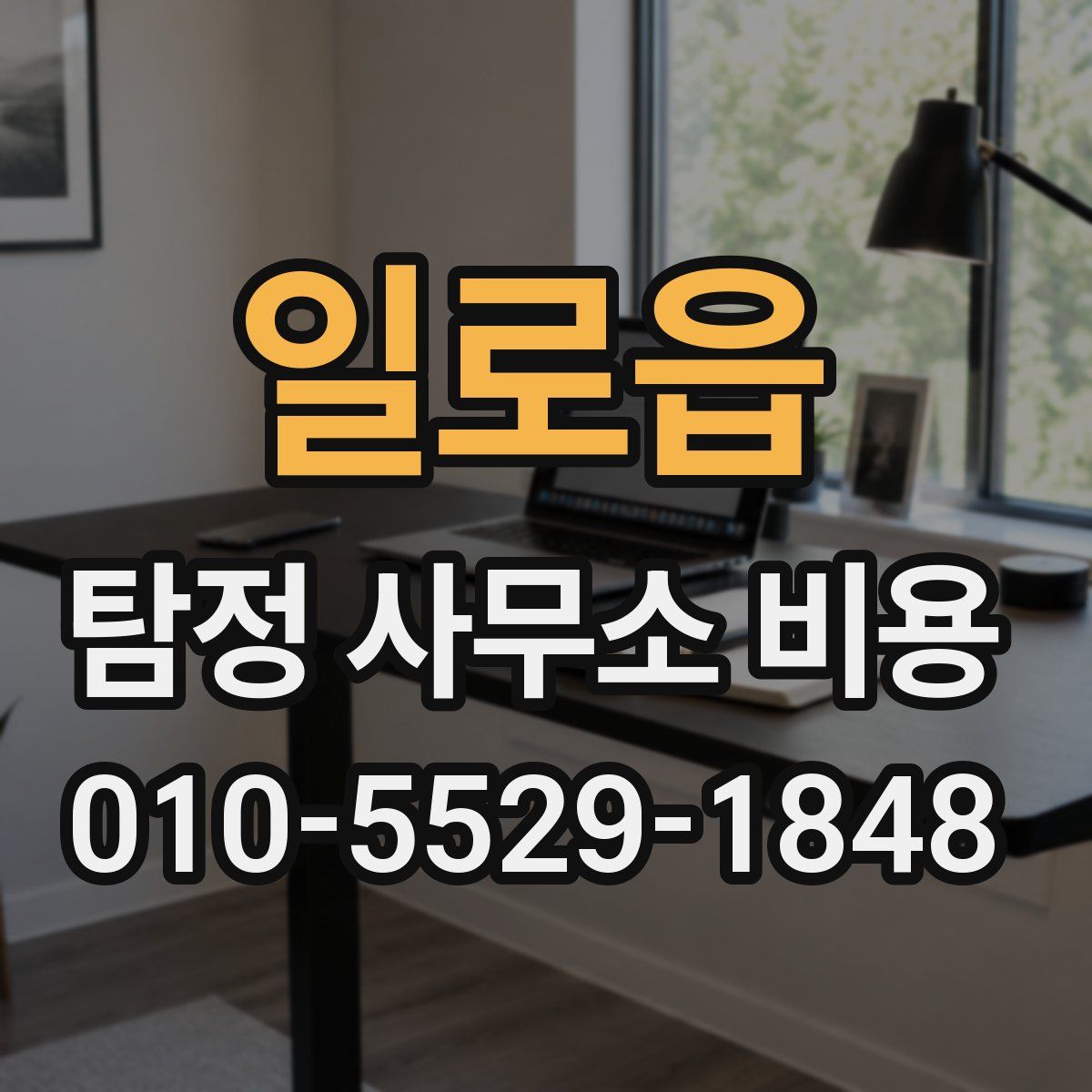 일로읍 탐정 사무소 비용